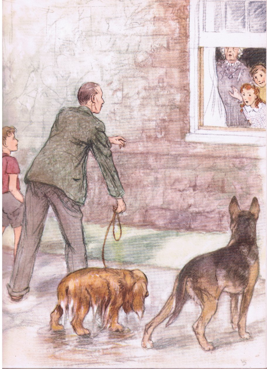 The spaniels were dripping with mud and slime, from Pets Limited published by Collins by George Vernon Stokes