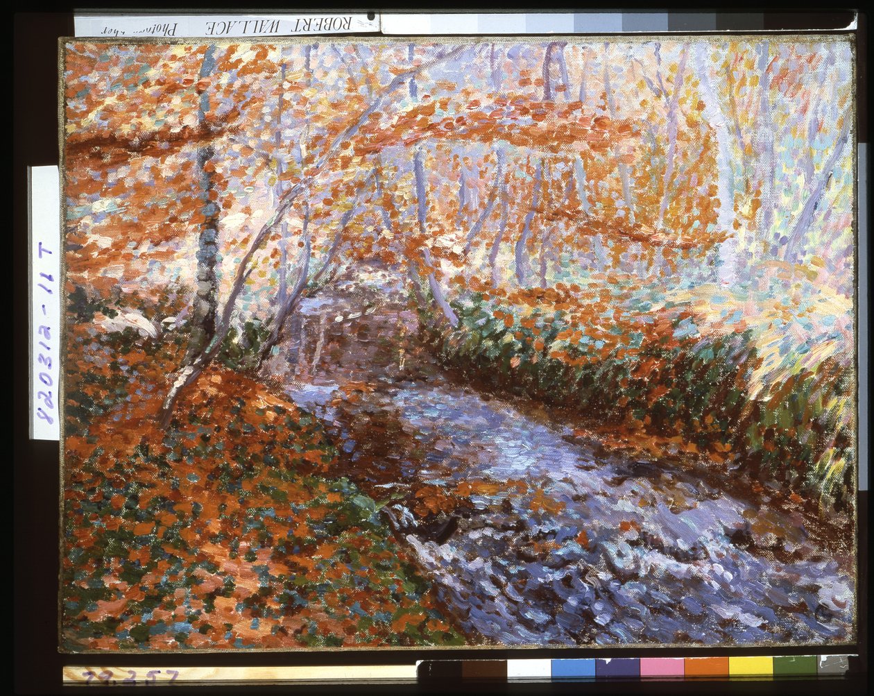 The Briante River (Forest Interior in Autumn) by Georges Lacombe