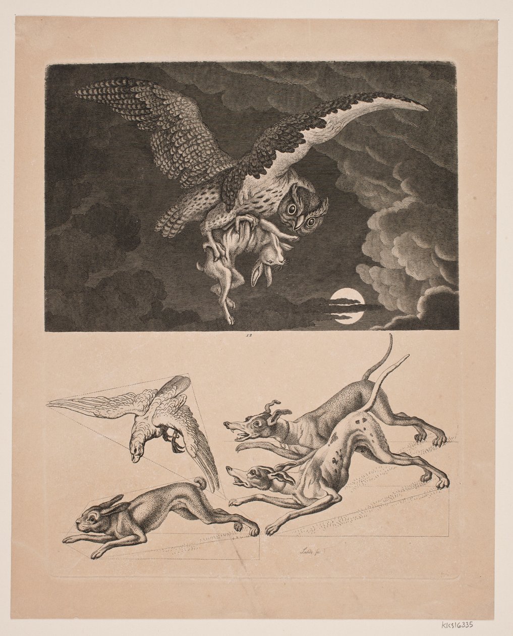 Board with Owl Flying with Hare Below; Dogs, Hare, and Hunting Falcon by Gerhard Ludvig Lahde