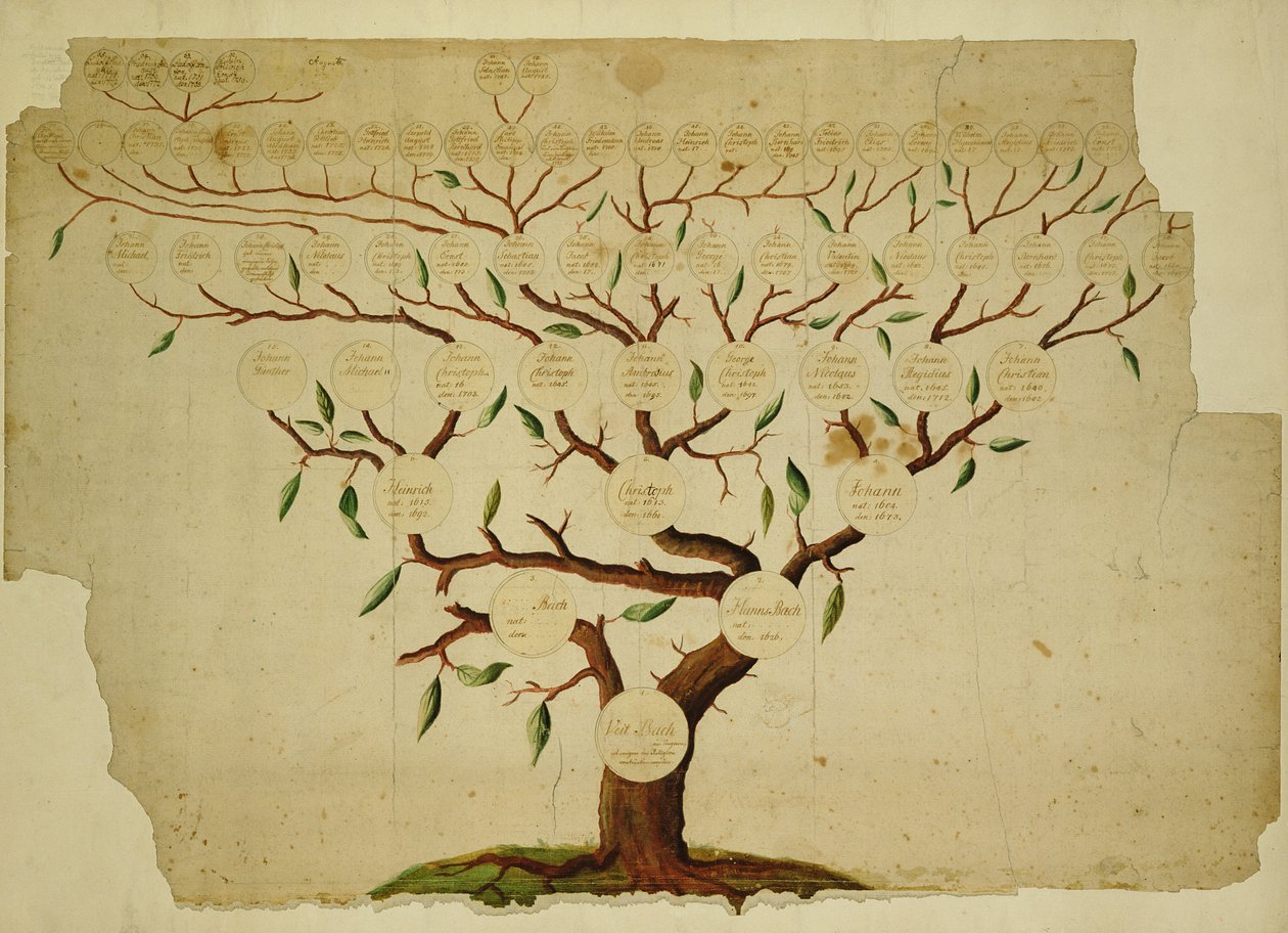 Bach Family Tree by German School