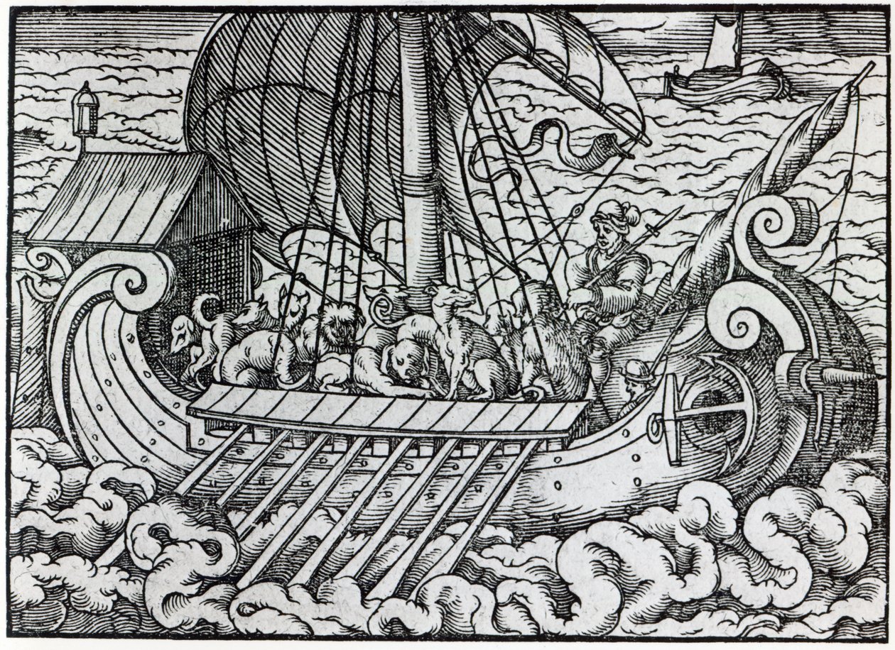 Viking Ship by German School