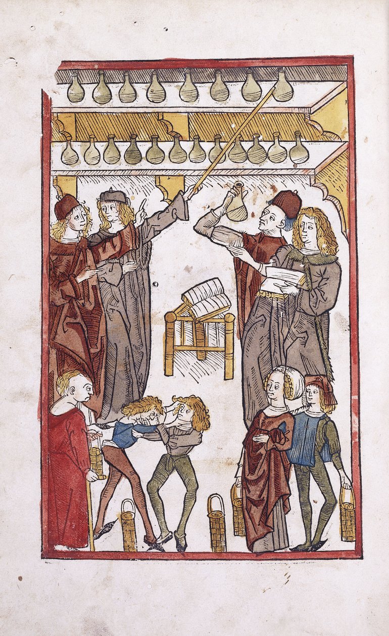 Apothecaries and Potions, with Two Boys Fighting in the Foreground by German School