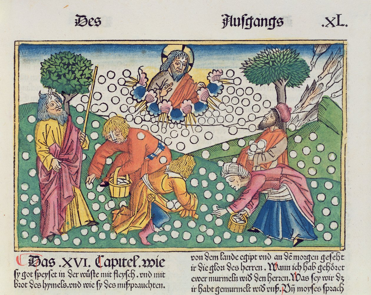 Exodus 16:13-22 God provides quail and manna to the Israelites, from the Nuremberg Bible by German School