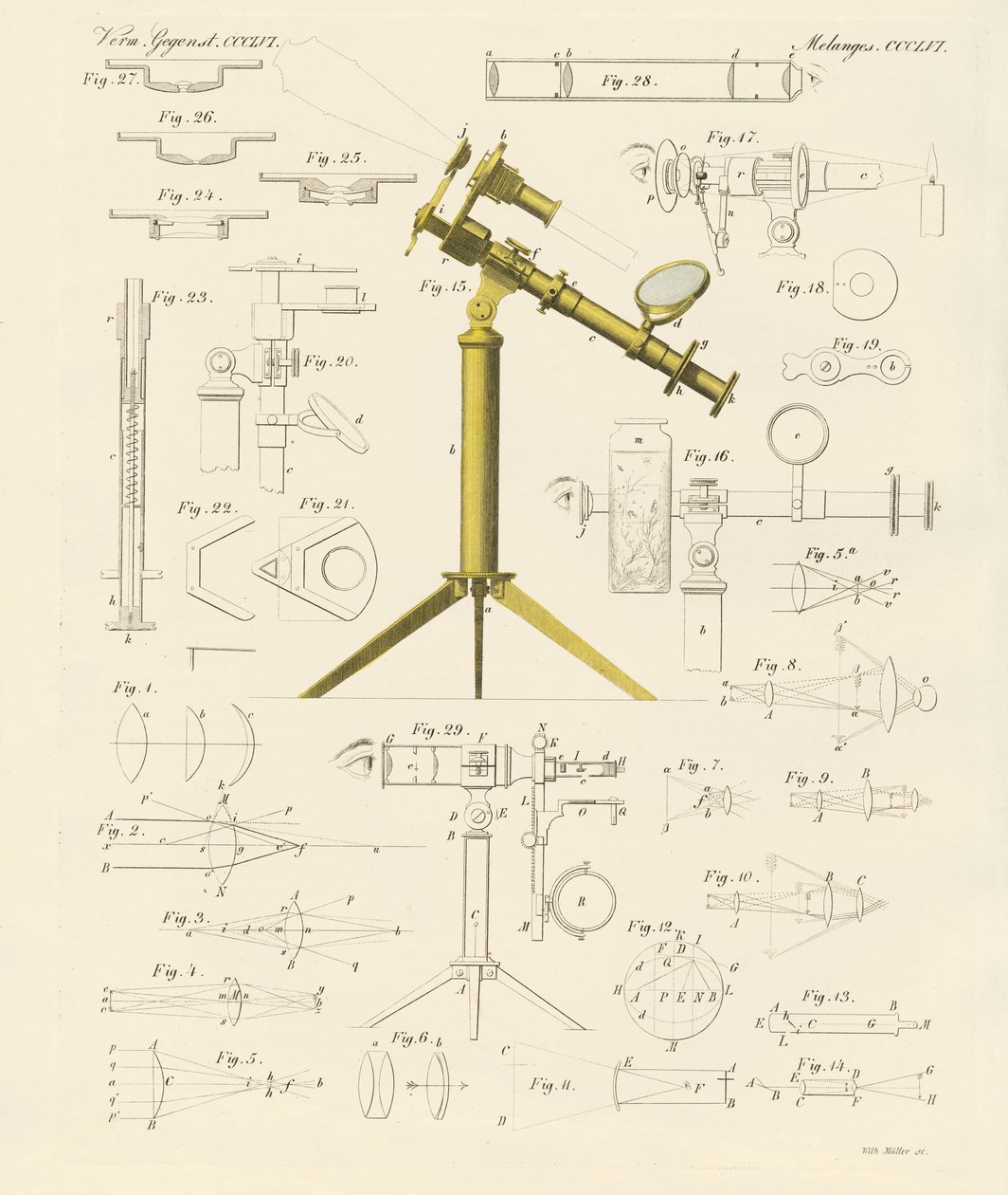 Magnifying Glass and Microscopical Amusements by German School