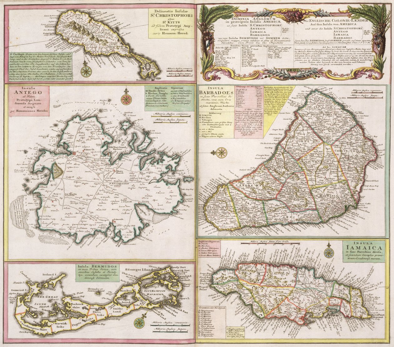 Map of English Colonies in the Caribbean, pub. by Homanns Heirs, Nuremberg, c.1750 by German School