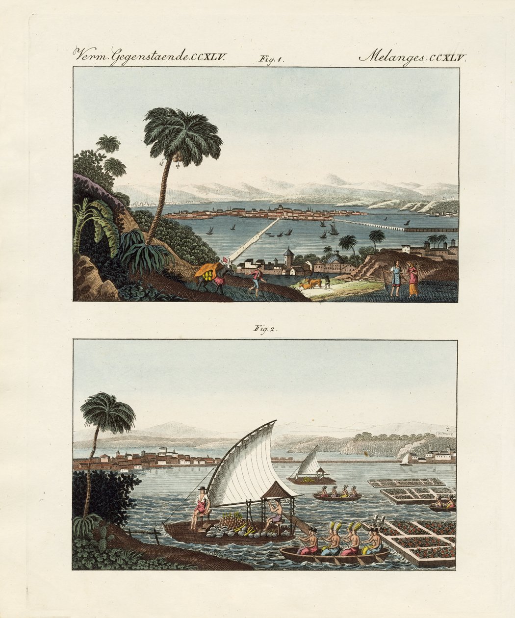 Mexico City with its settings and swimming gardens by German School