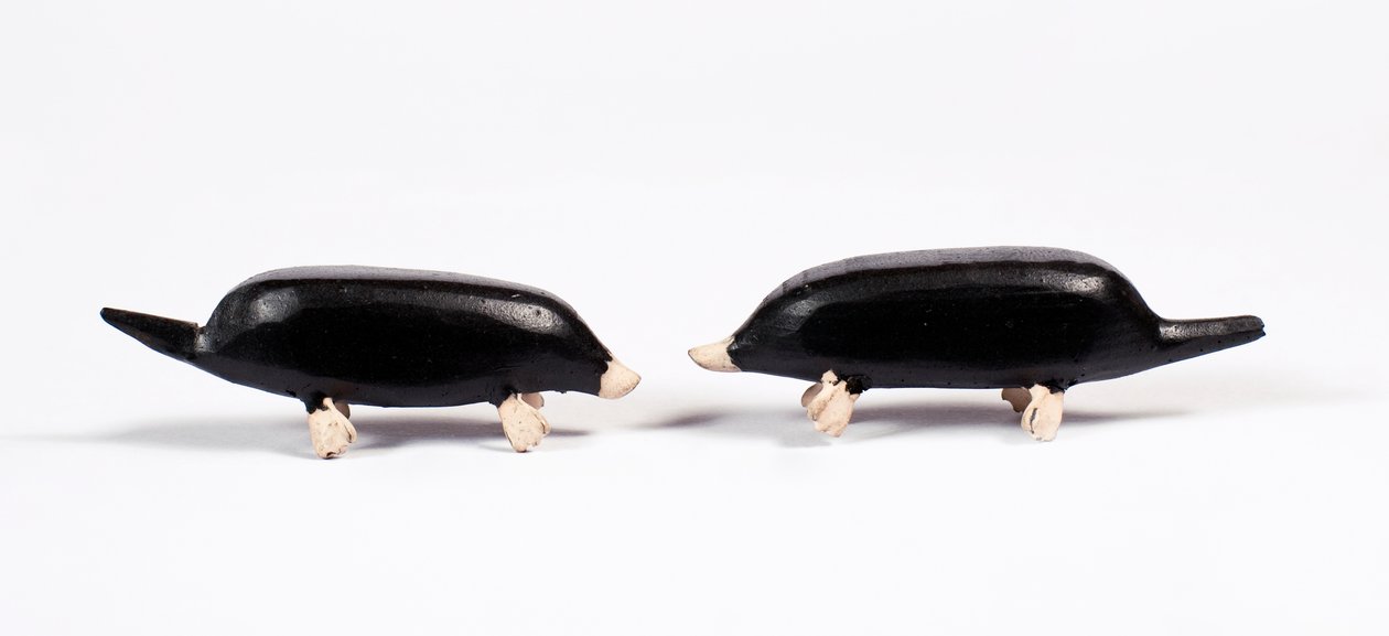 Moles from a Noah