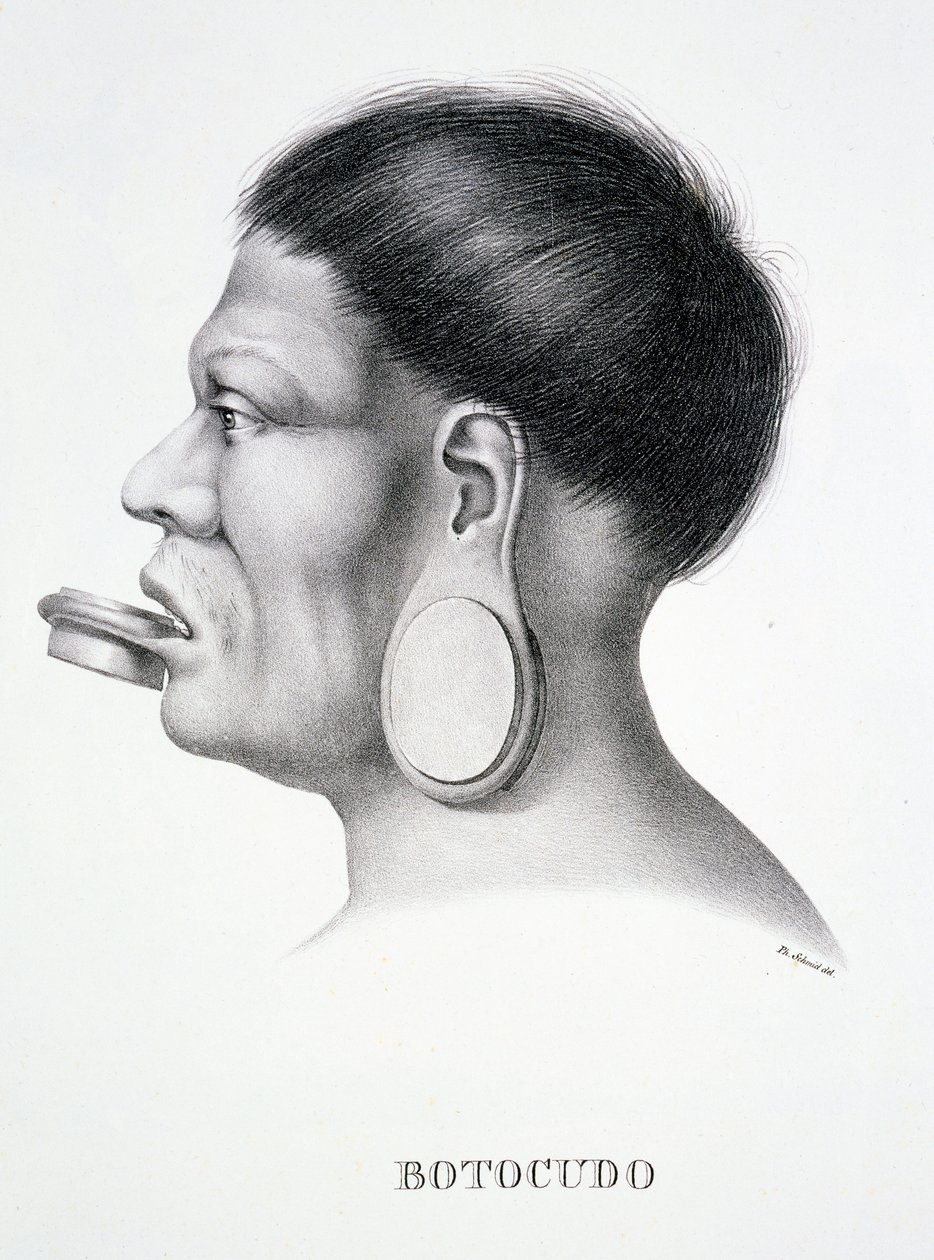 Native man of the Botocudo tribe, with plug face decoration, from Atlas of a Journey in Brazil by Dr von Spix and Dr von Martius by German School
