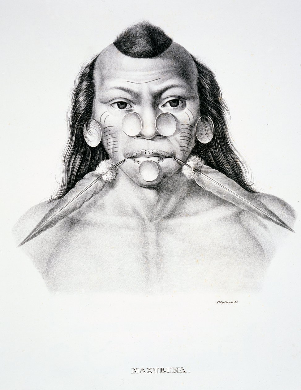 Native man of the Maxuruna tribe, with face decoration, from Atlas of a Journey in Brazil by Dr von Spix and Dr von Martius by German School