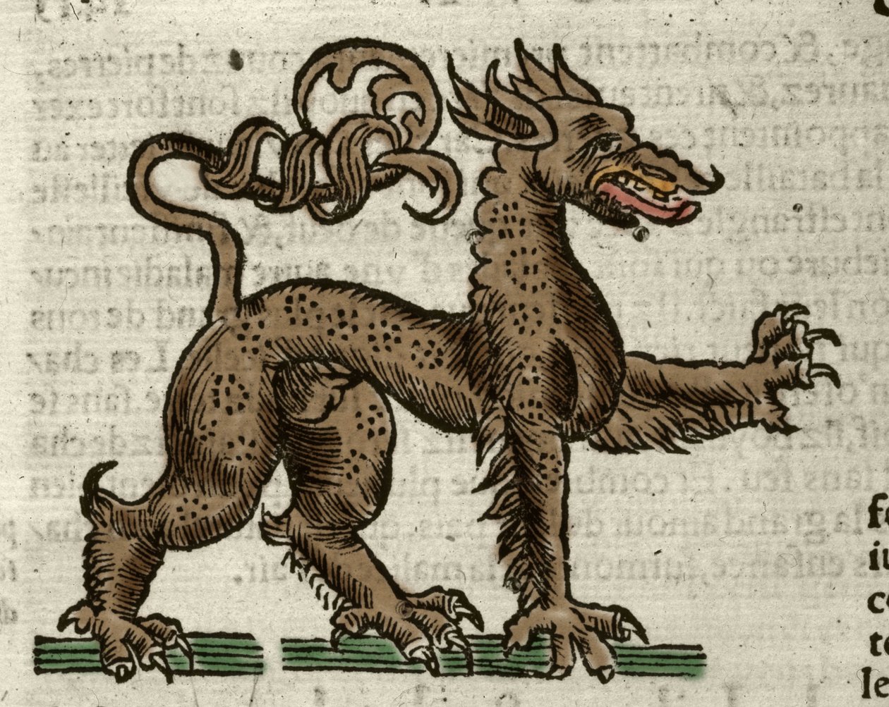 Representation of a fantastic creature. Xilography taken from Sebastien Munster