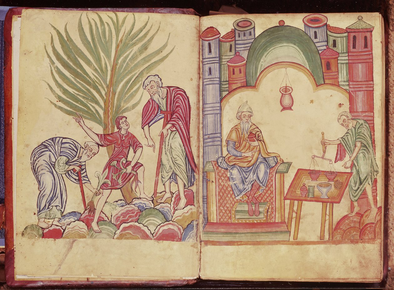 The Art of the Apothecary, from Apuleius Dioscorides by German School