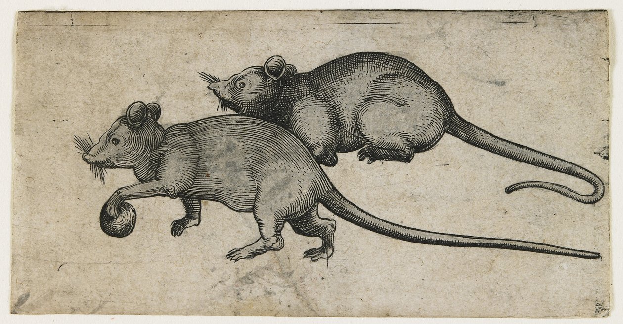 Two Mice, 1450-80 by German School