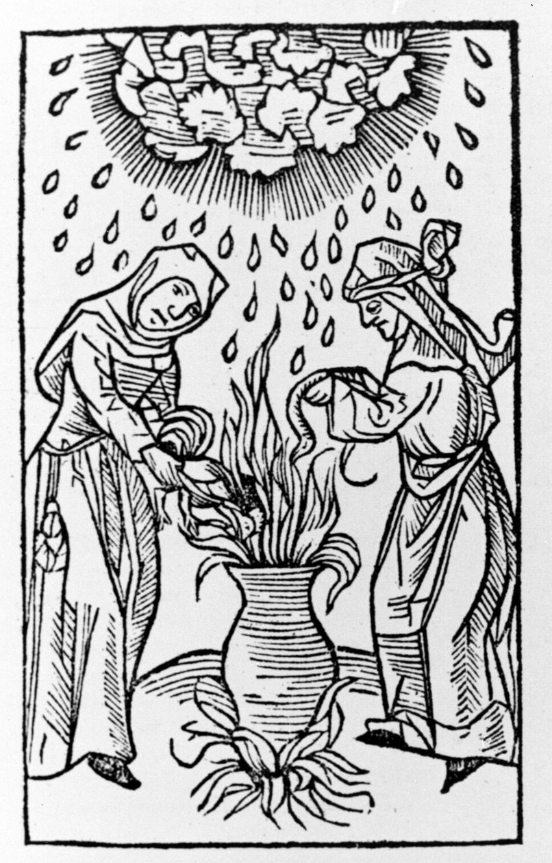 Two witches preparing a potion, summoning a hail storm - engraving from “de lanijs et phitonicis mulieribus”, Cologne by German School
