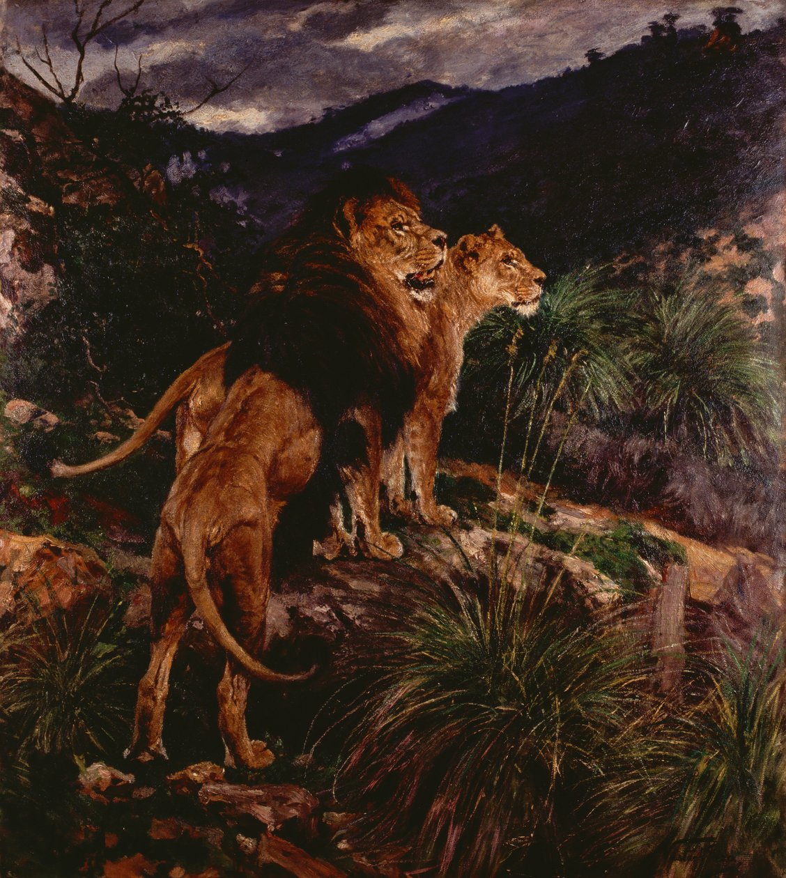 Lions Stalking by Geza Vastagh
