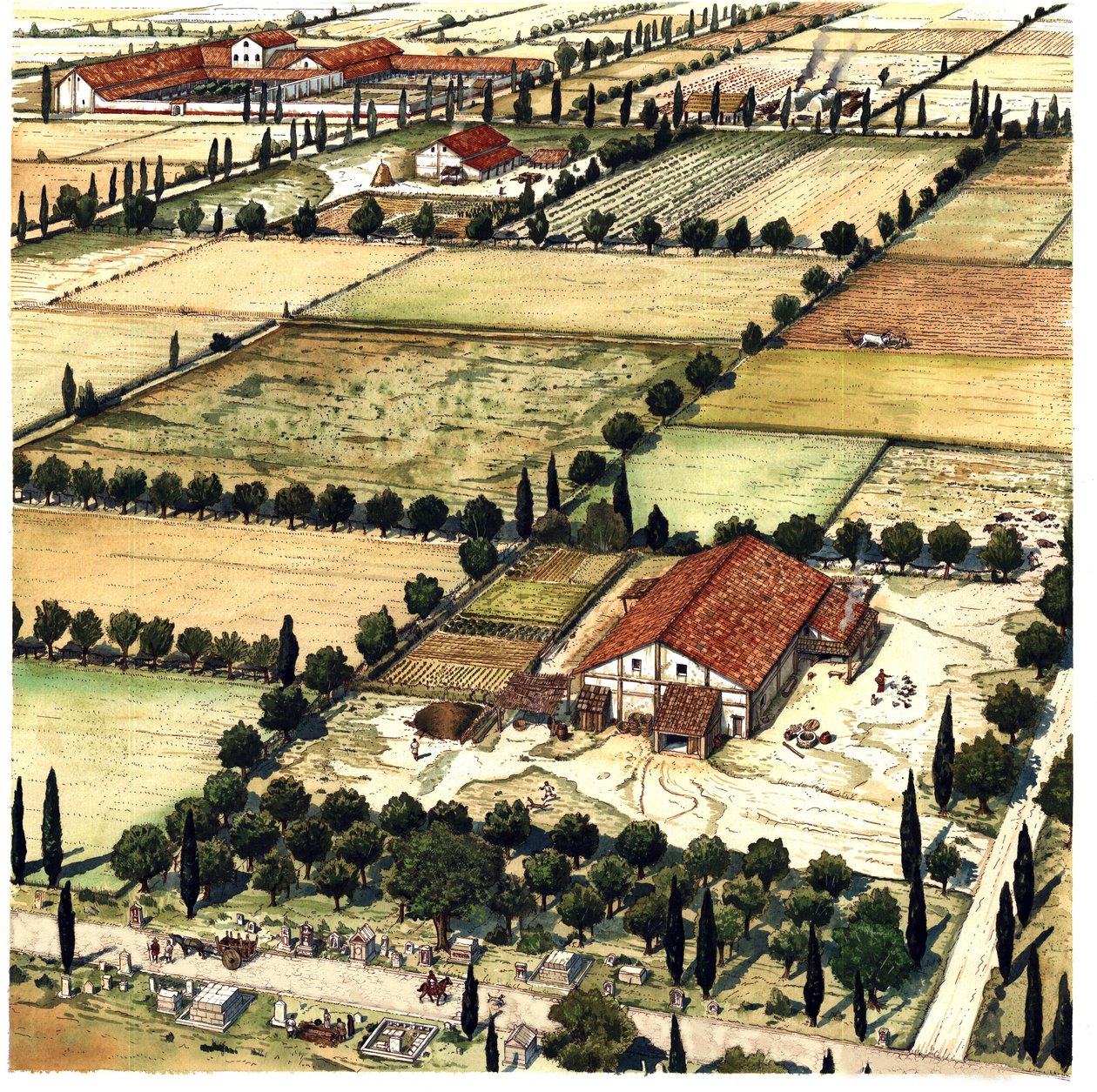Ancient Rome: Reconstruction of Roman Centuriation, Italy by Giorgio Albertini