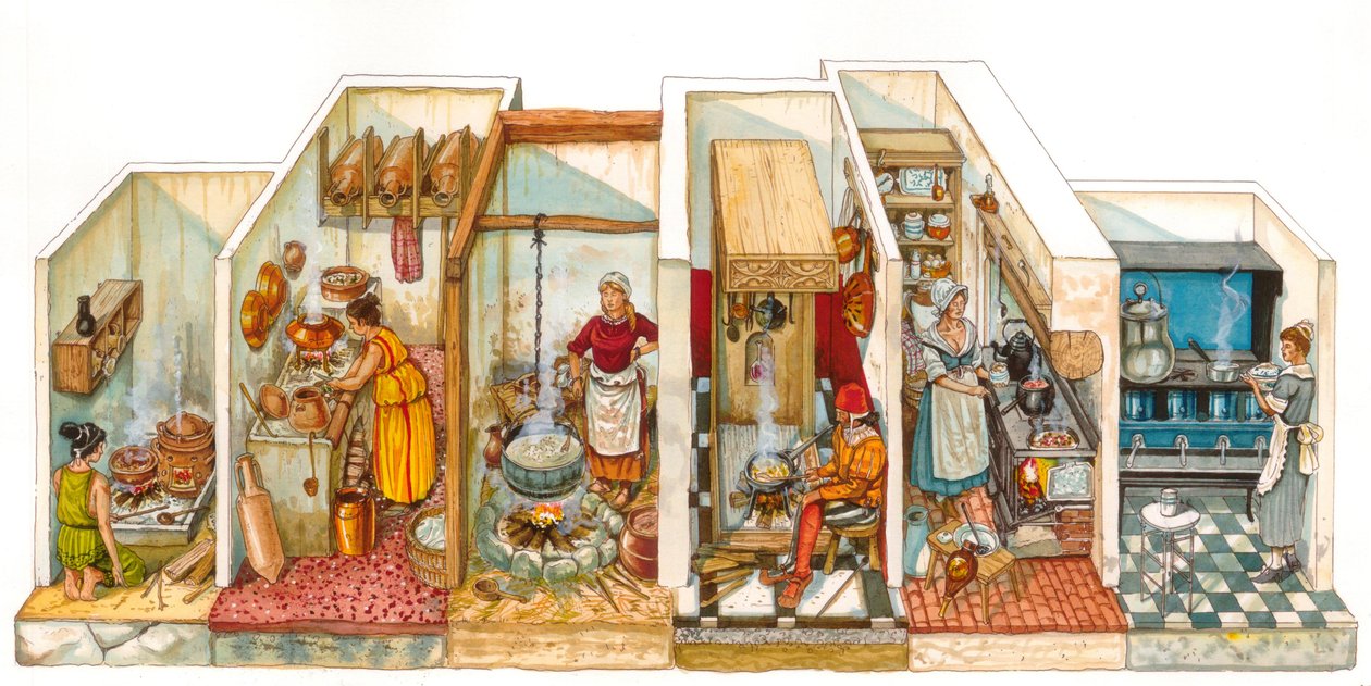 Everyday Life: Evolution of Stoves and Food Cooking Systems, from Antique Kitchen to Modern Stoves by Giorgio Albertini