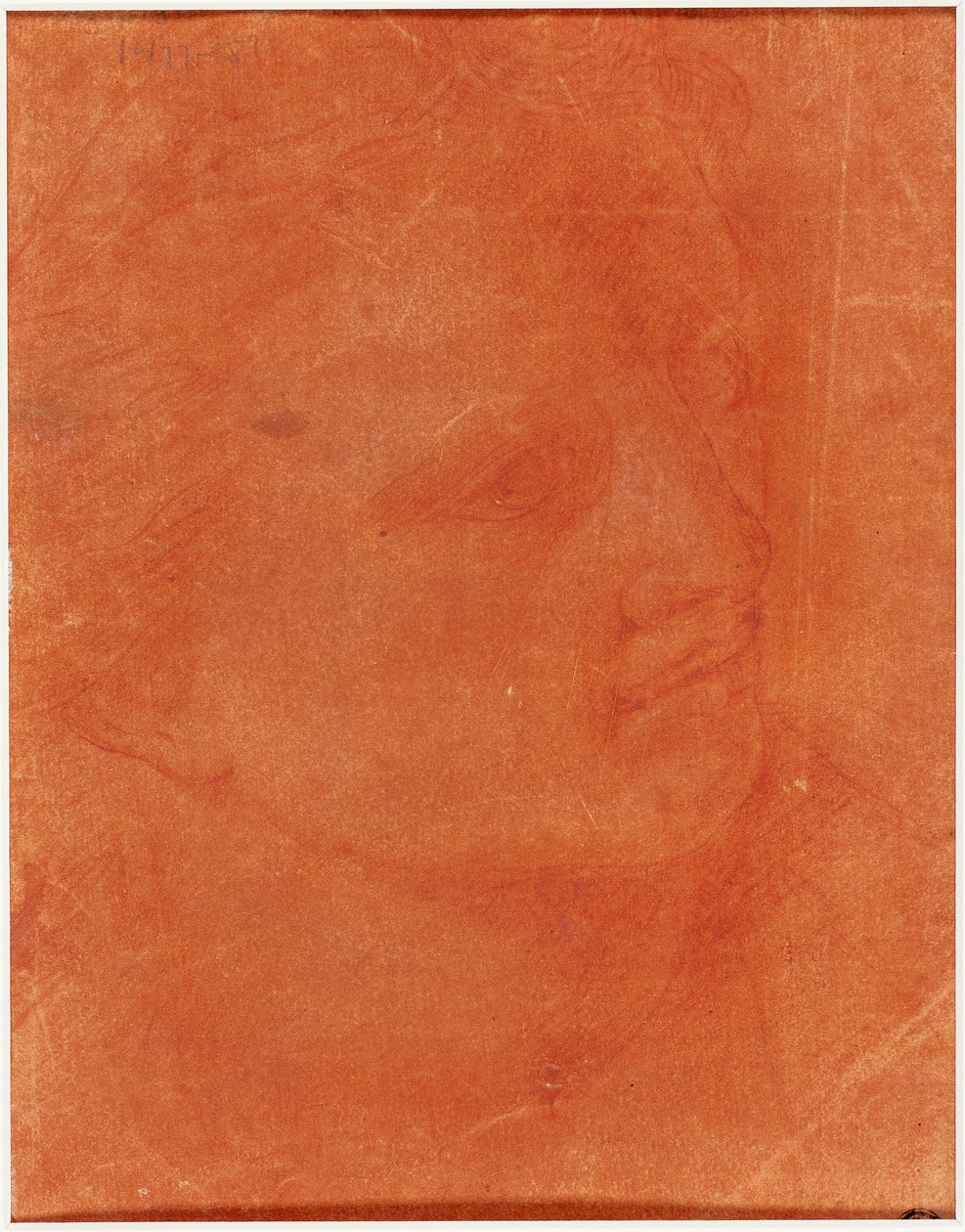 Head in Three-Quarter Profile (recto); Standing Young Man Pointing Left and Sketches of Feet, Arm (verso) by Giorgione
