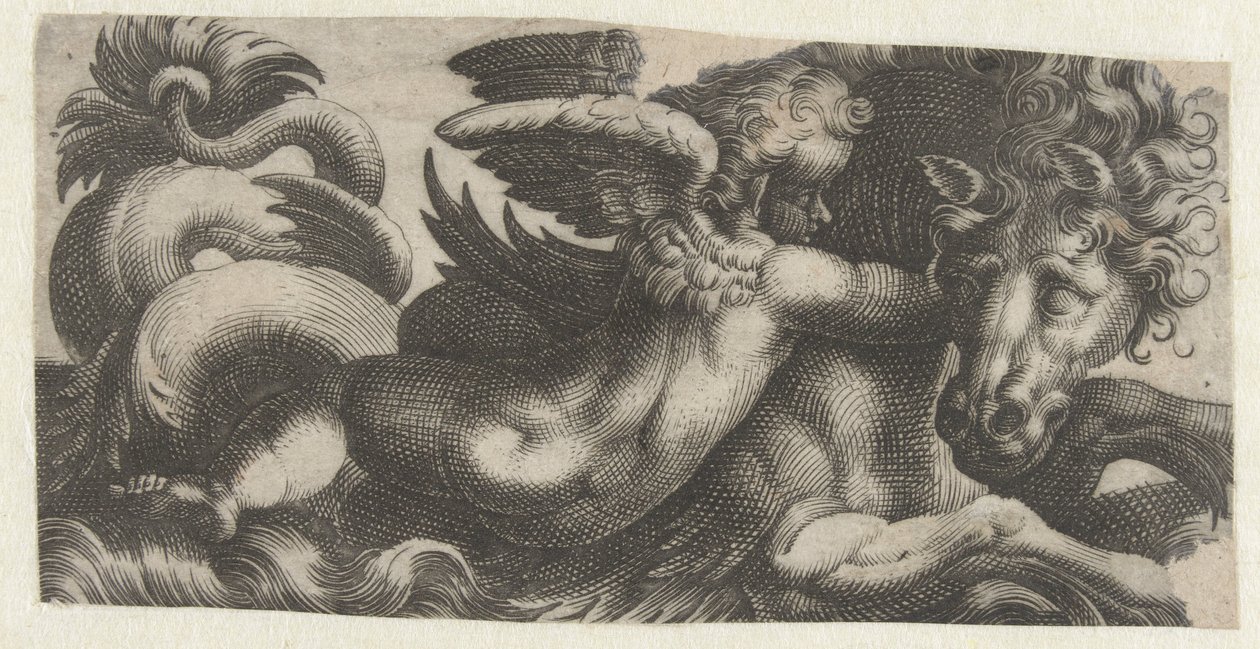 Sea Horse with a Putto Around Its Neck (Friezes with Sea Monsters) by Giovanni Andrea Maglioli