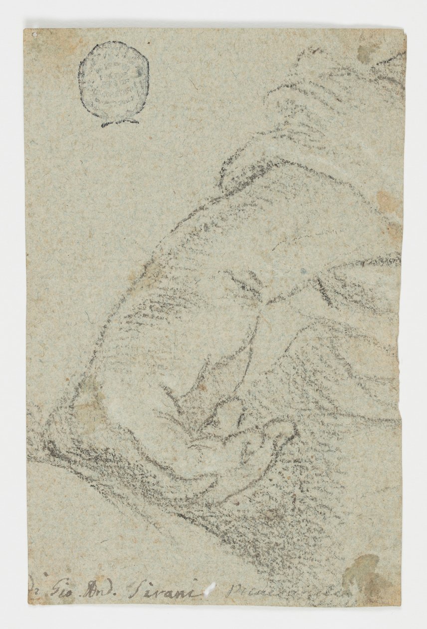 Study: A Left Hand in a Leaning Position, ca. 1650 by Giovanni Andrea Sirani
