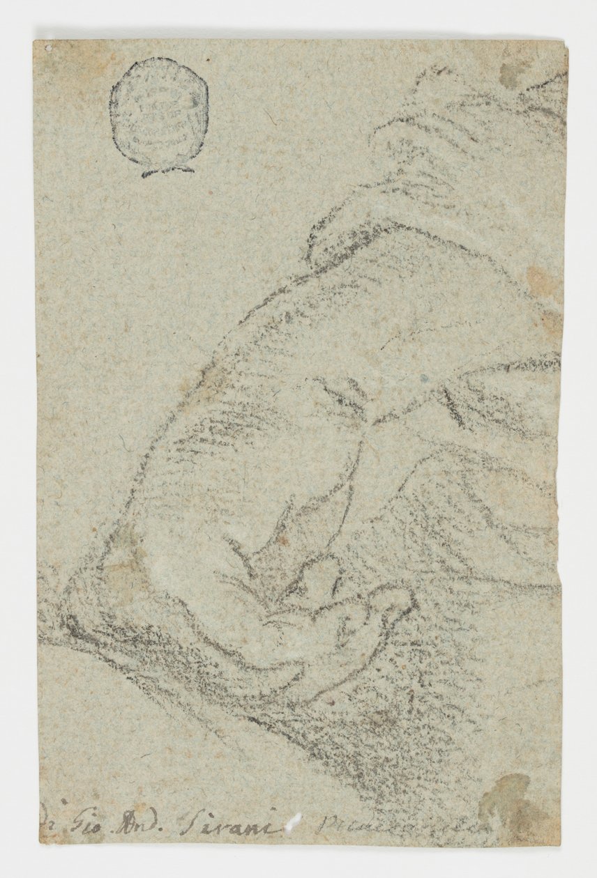 Study: A Left Hand in a Leaning Position by Giovanni Andrea Sirani