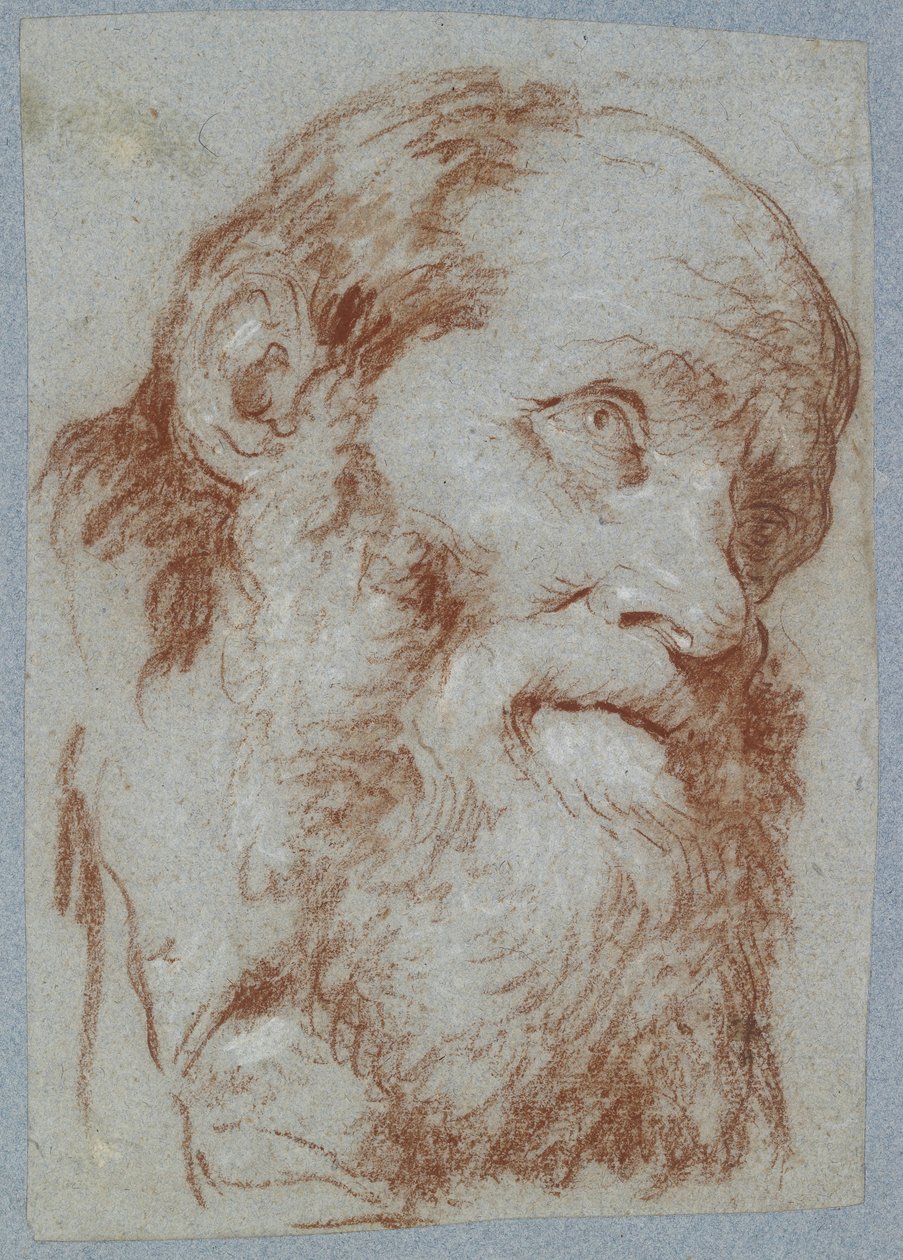 Head of an Old Bearded Man by Giovanni Battista Tiepolo