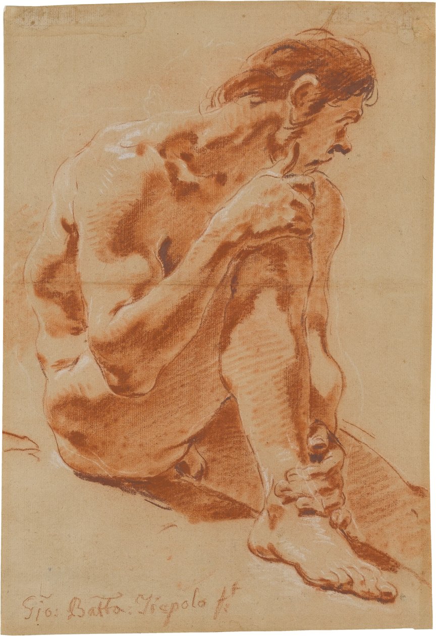 Seated Male Nude by Giovanni Battista Tiepolo