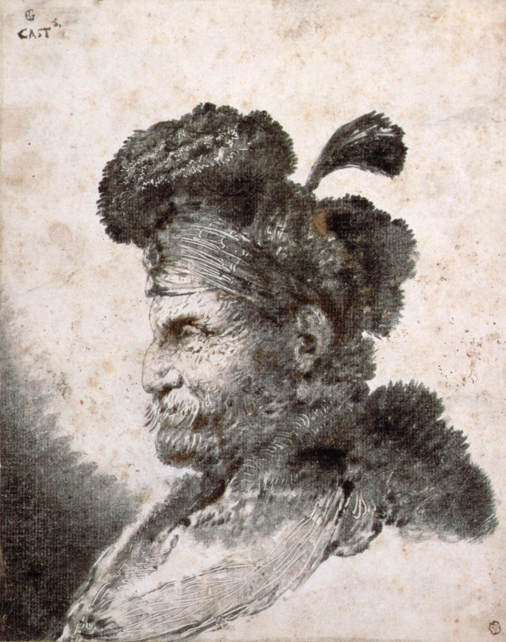 Head of an Oriental in Profile to the Left by Giovanni Benedetto Castiglione