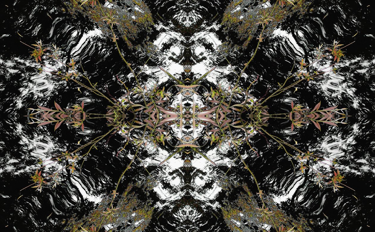 Unnatural 37 by Giovanni Cafagna