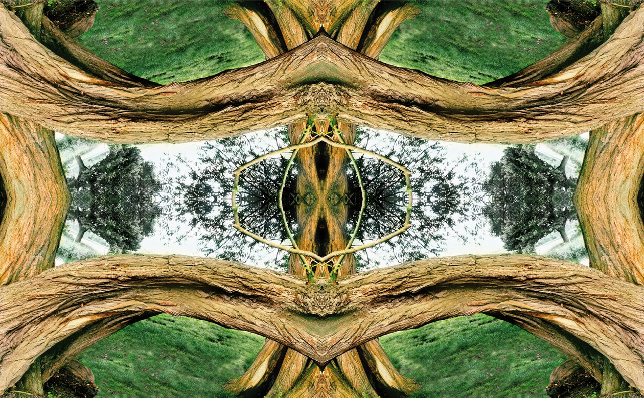 Unnatural 37 by Giovanni Cafagna