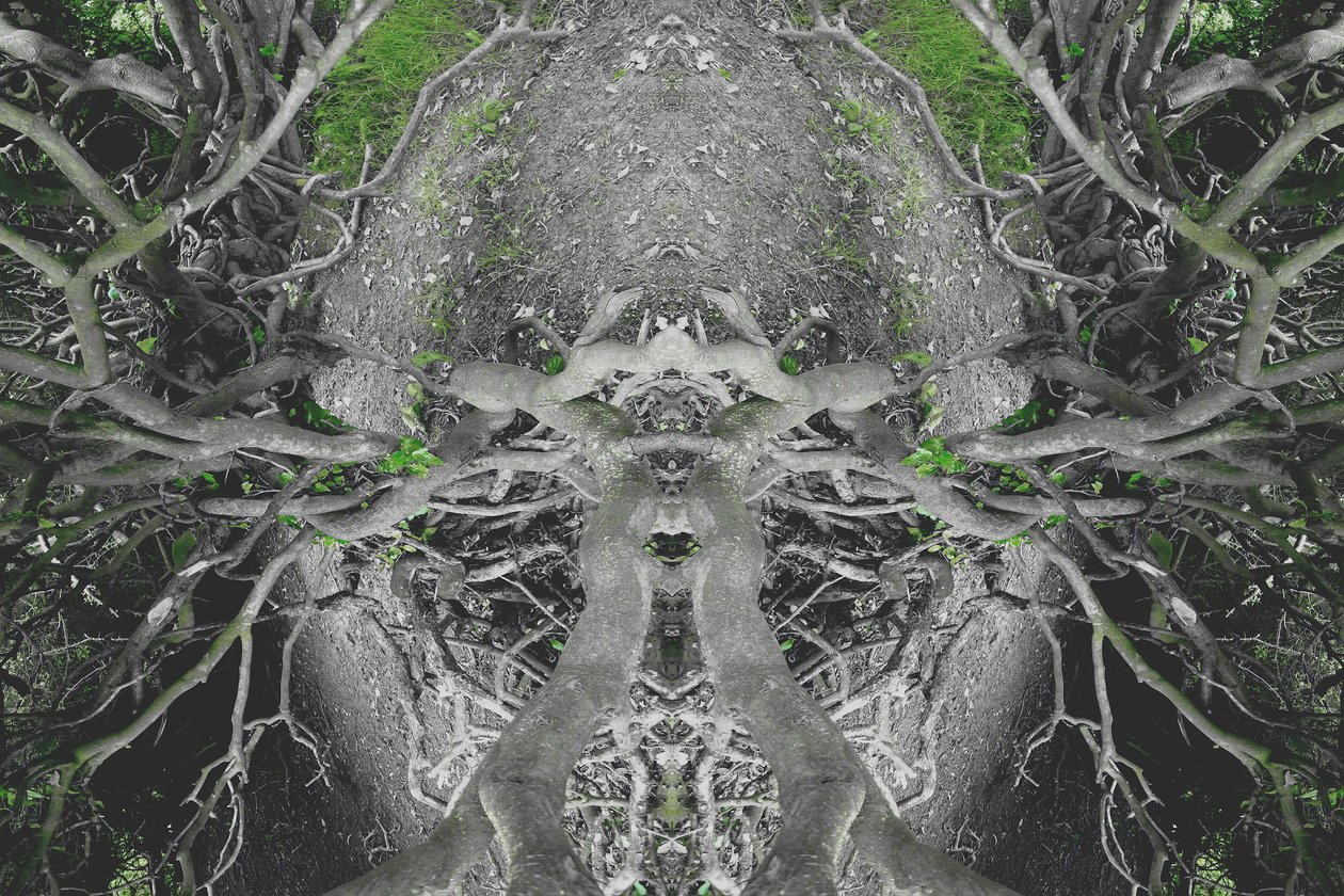 Unnatural 42 by Giovanni Cafagna