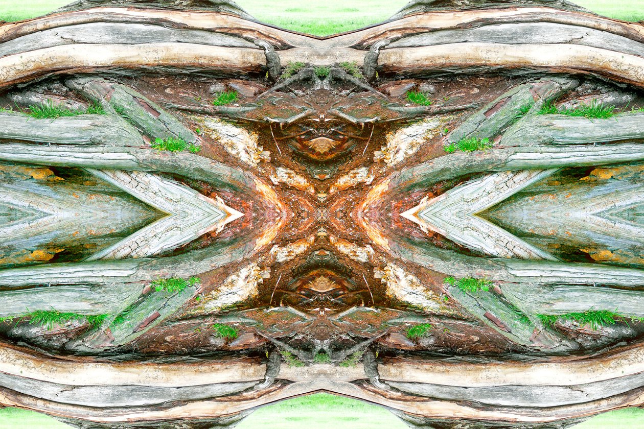 Unnatural 64 by Giovanni Cafagna