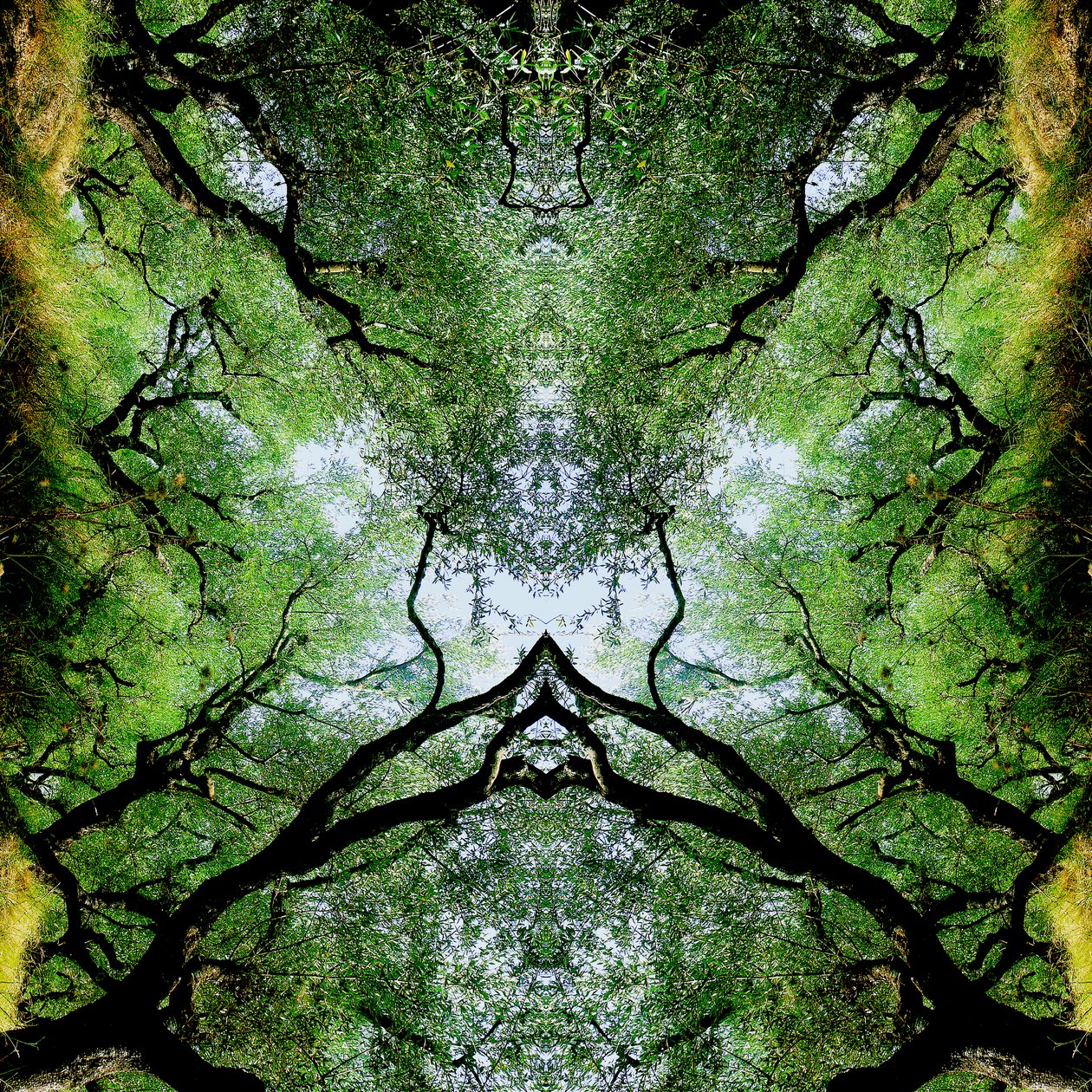 Unnatural 75 by Giovanni Cafagna