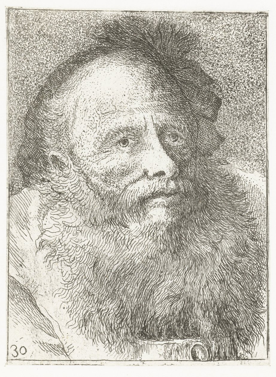 Man with Beard and Feathered Headgear by Giovanni Domenico Tiepolo