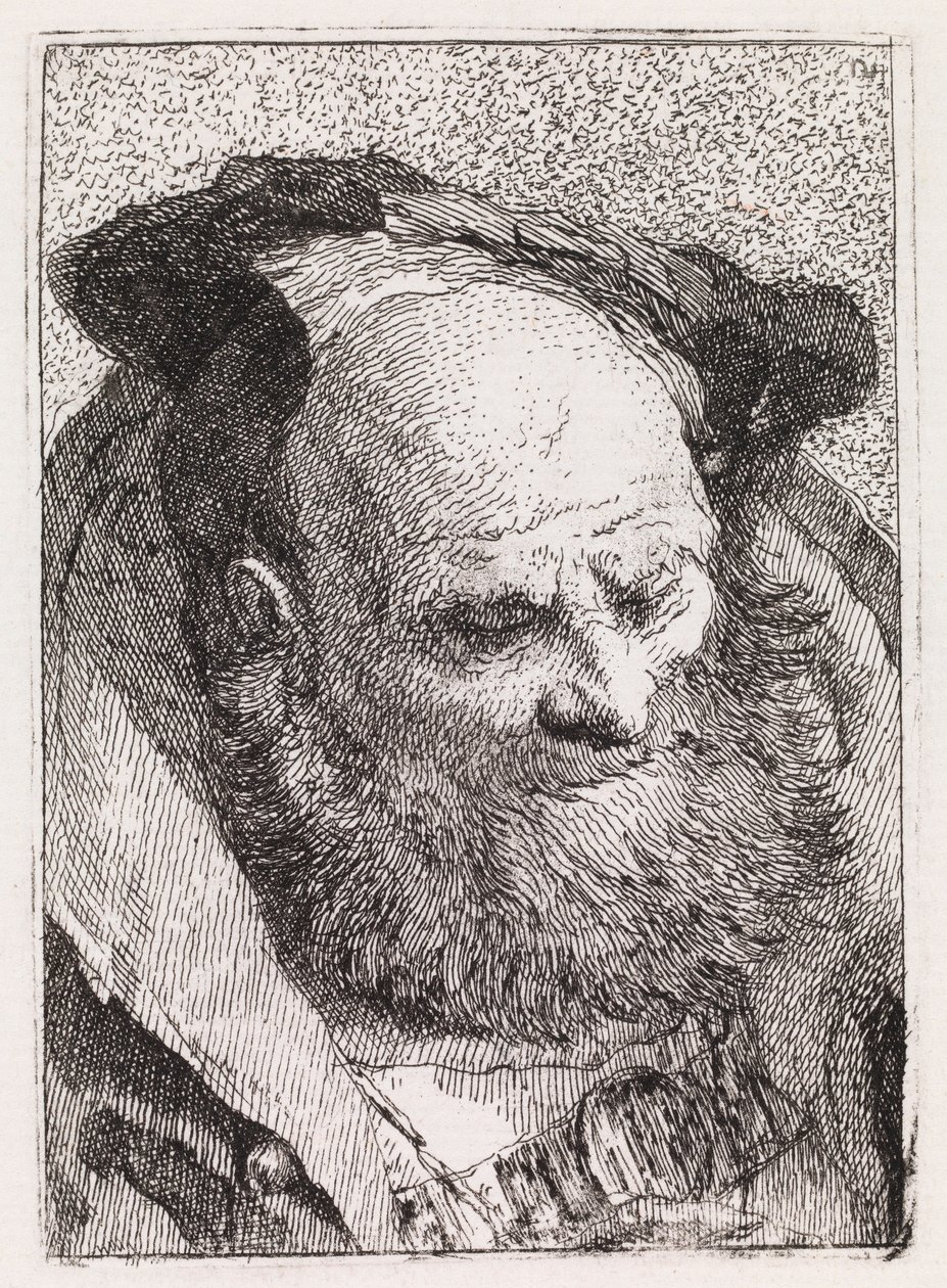 Old Man with a Beard by Giovanni Domenico Tiepolo