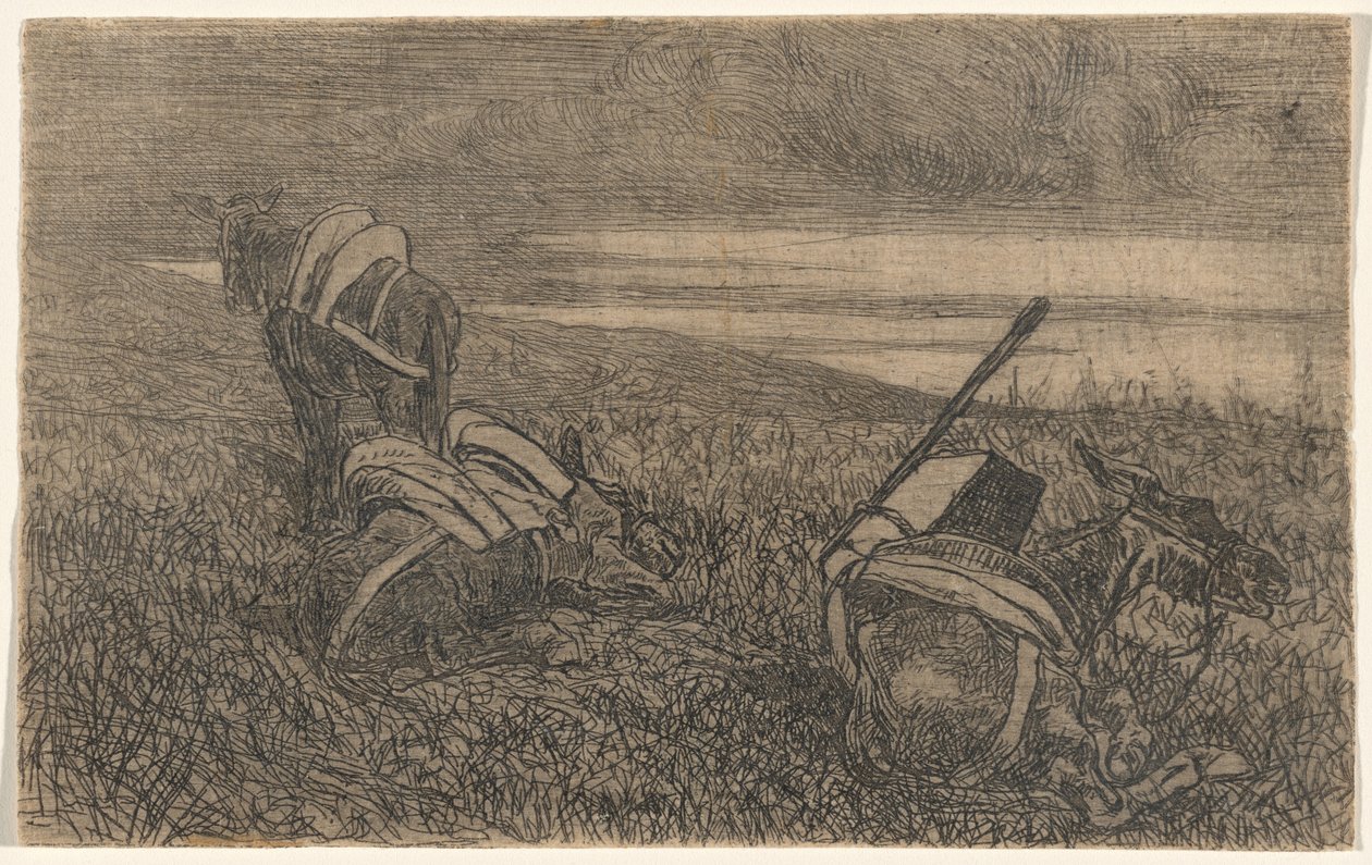 Little Donkeys at Rest by Giovanni Fattori