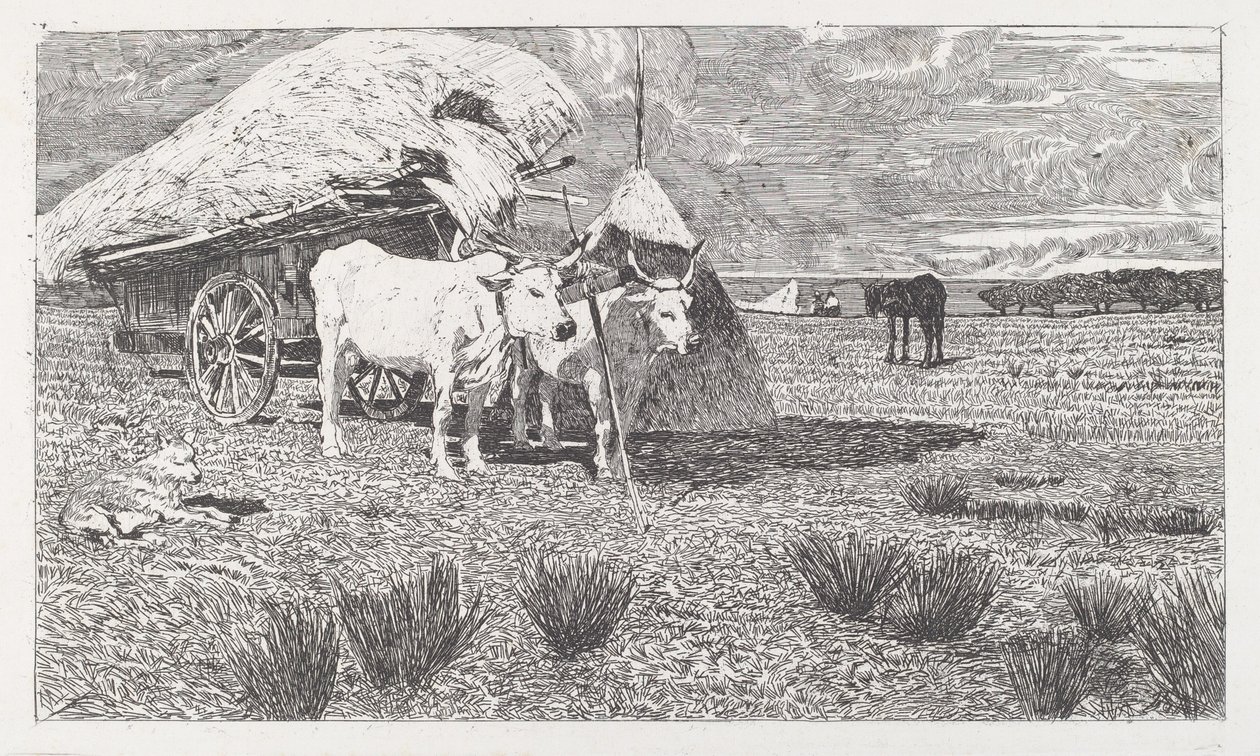 Oxen Yoked to a Cart (Maremma) by Giovanni Fattori