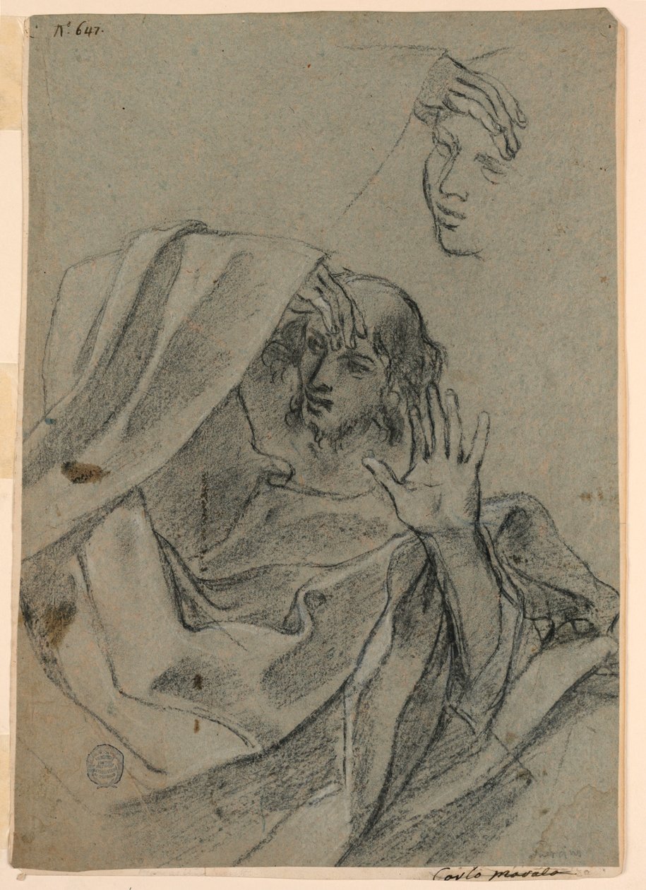 Drawing Studies with Woman