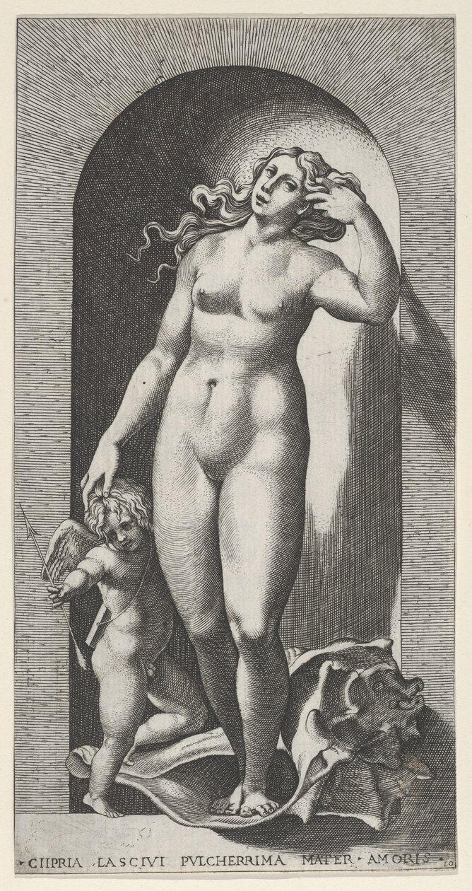 Plate 10: Venus in a niche, standing on a conch shell, with Cupid to her right by Giovanni Jacopo Caraglio