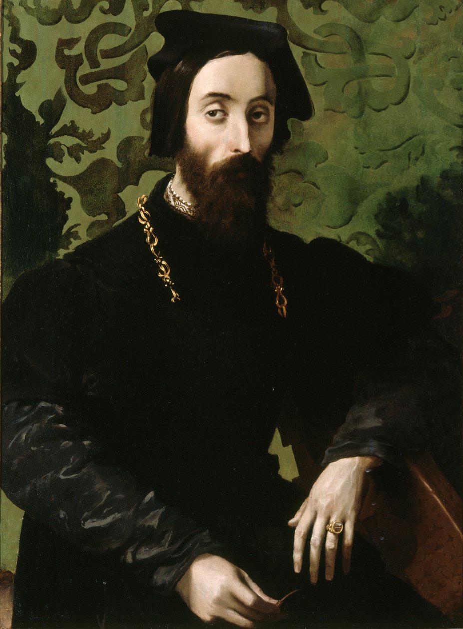 Portrait of a Musician by Girolamo Mazzola (attr.) Bedoli