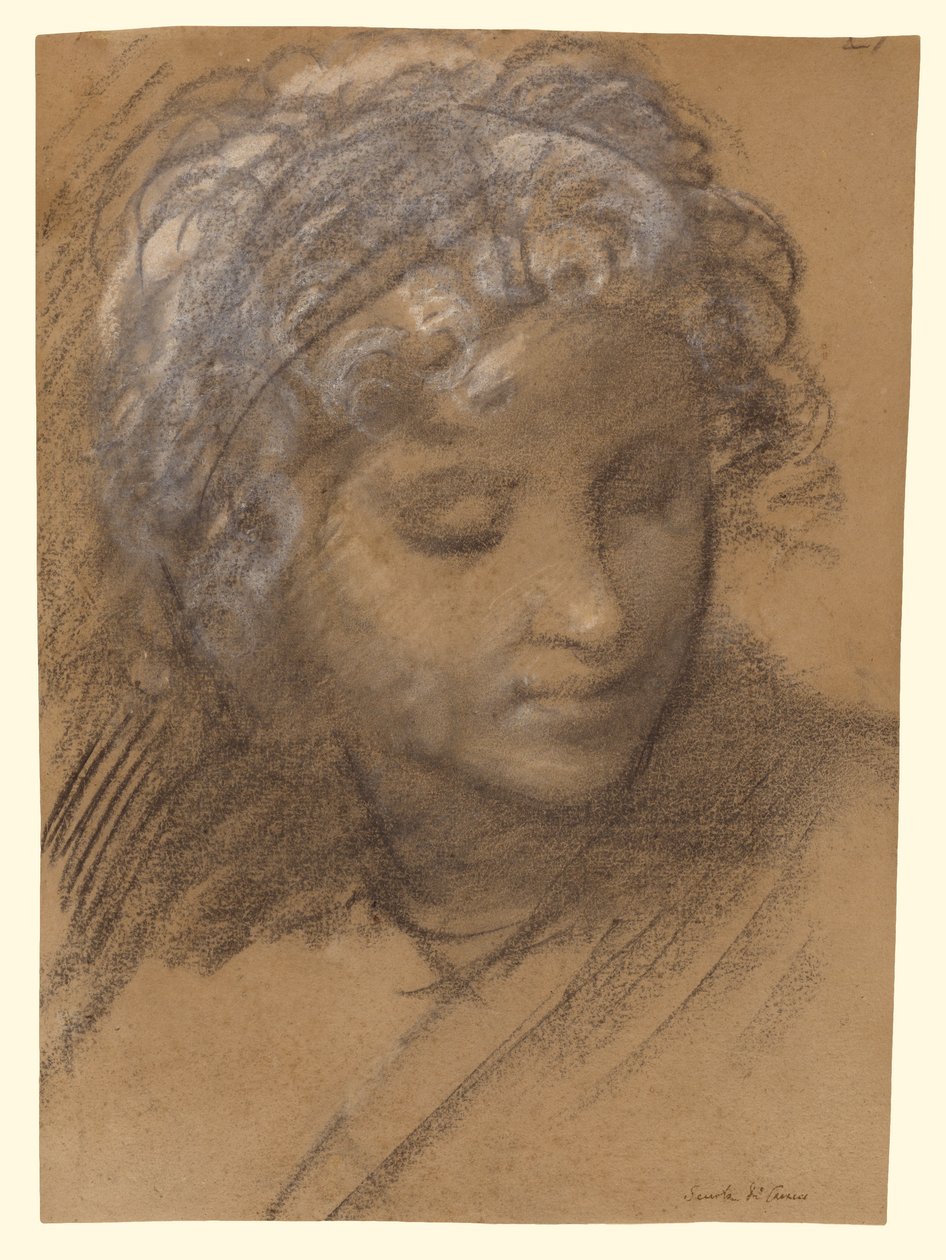Head of a Female Figure; Female Nude by Giulio Cesare Procaccini