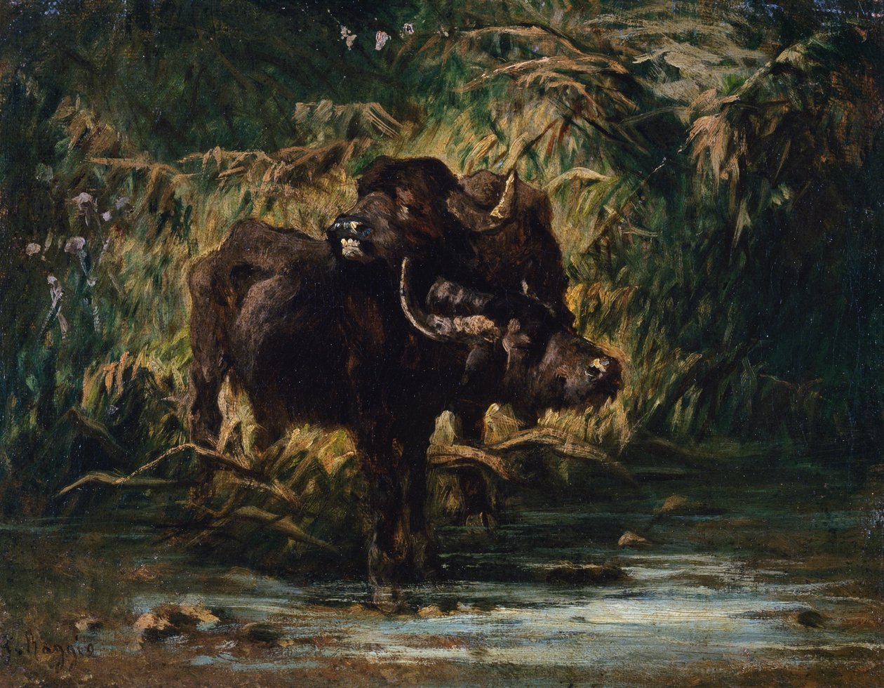 Young buffaloes by Giuseppe Raggio