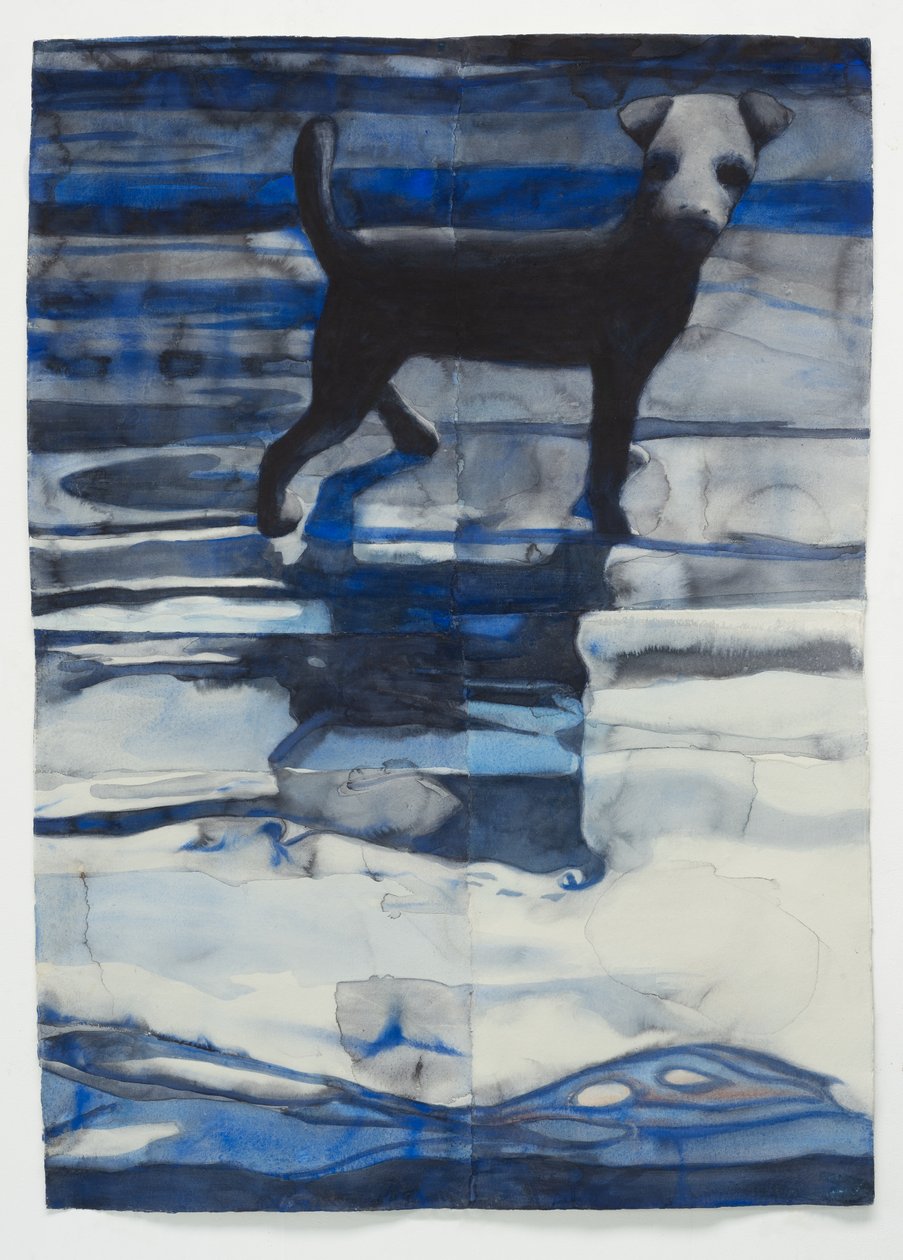 Toy Dog by Graham Dean