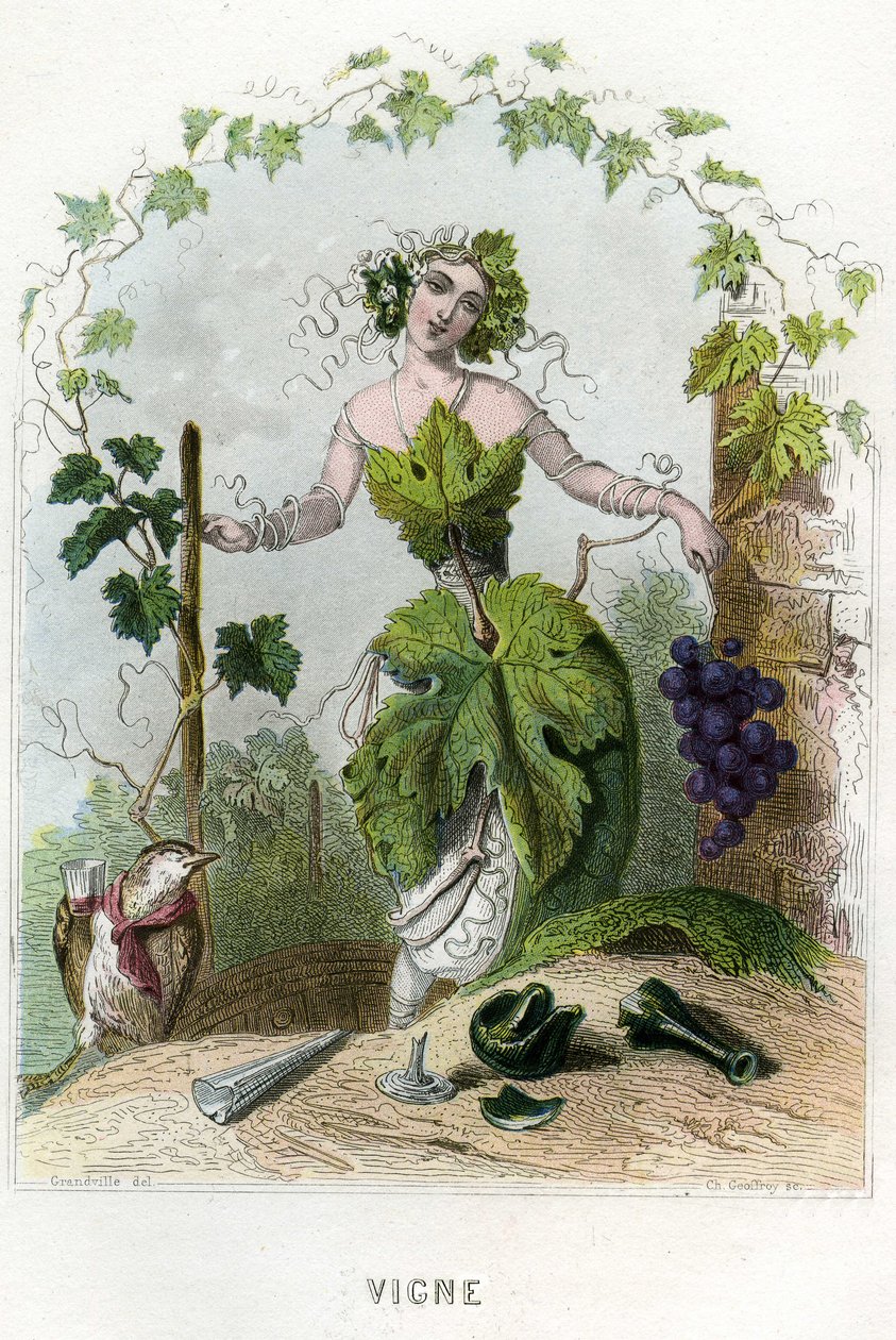 Illustration for 