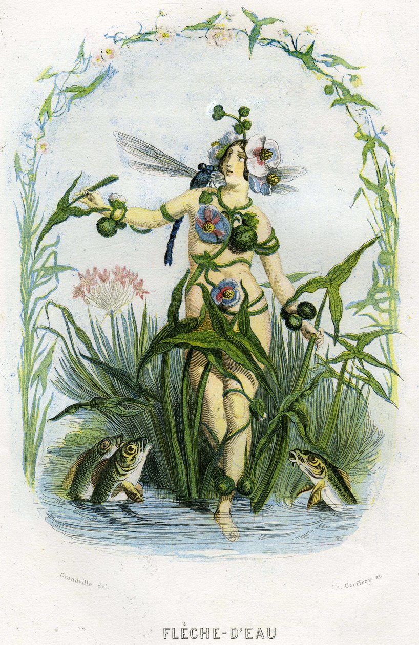 Illustration for 