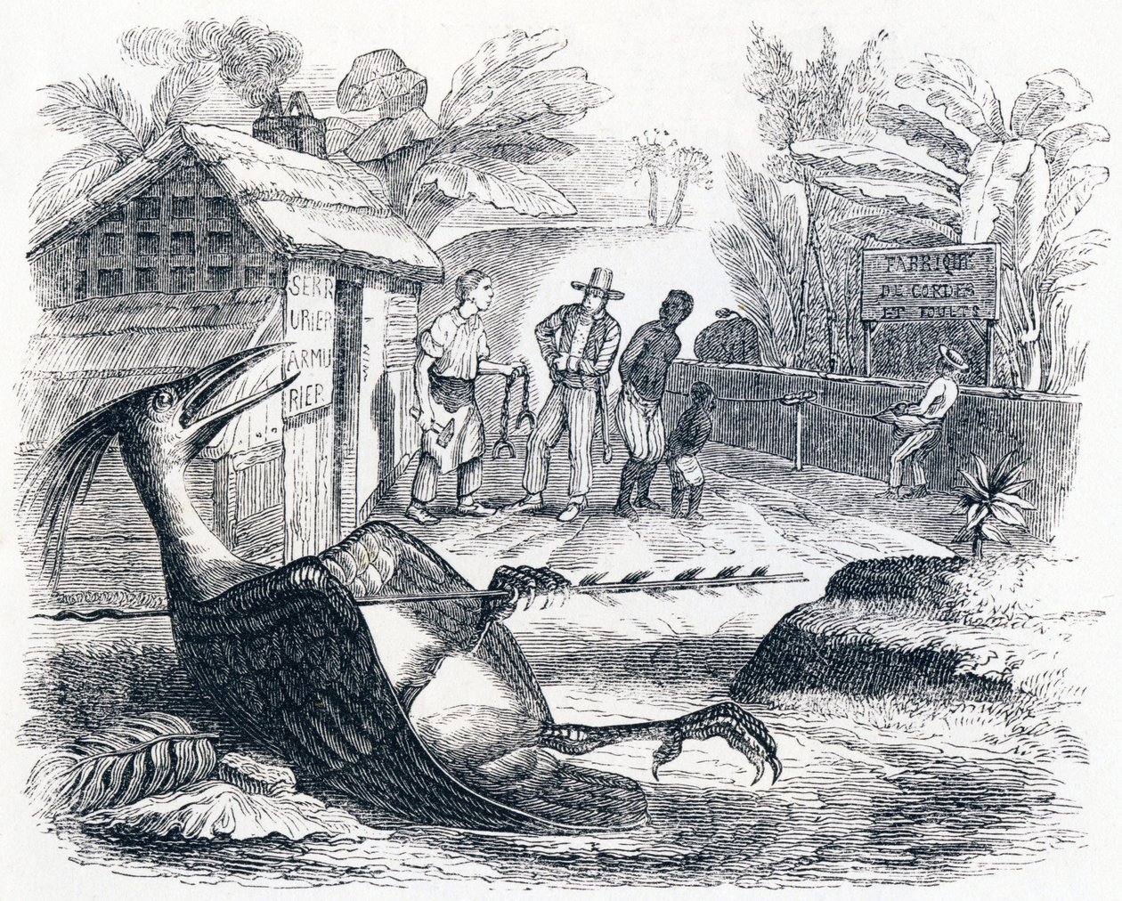 The Bird Hurt by an Arrow - Fables by La Fontaine by Grandville