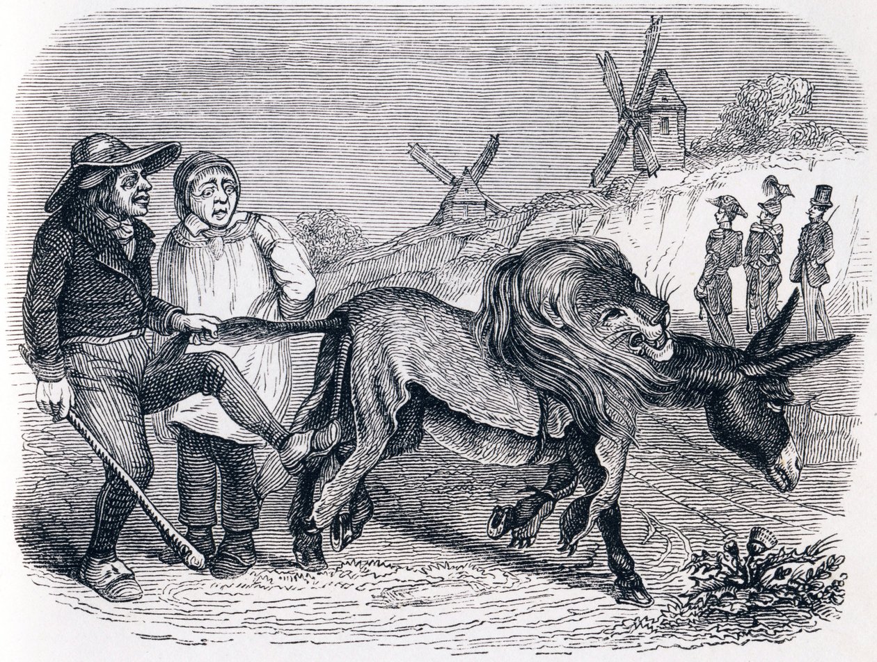 The donkey with the lion