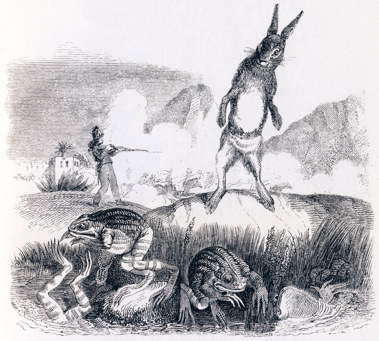 The hare and the frogs - Fables by La Fontaine by Grandville