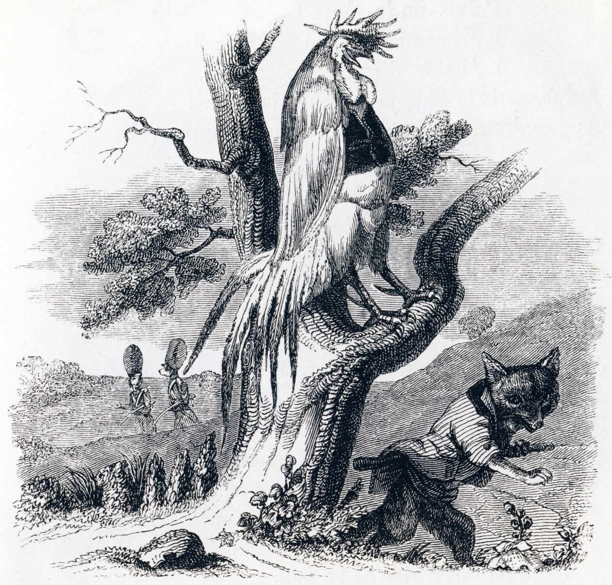 The Rooster and the Fox - Fables by La Fontaine by Grandville