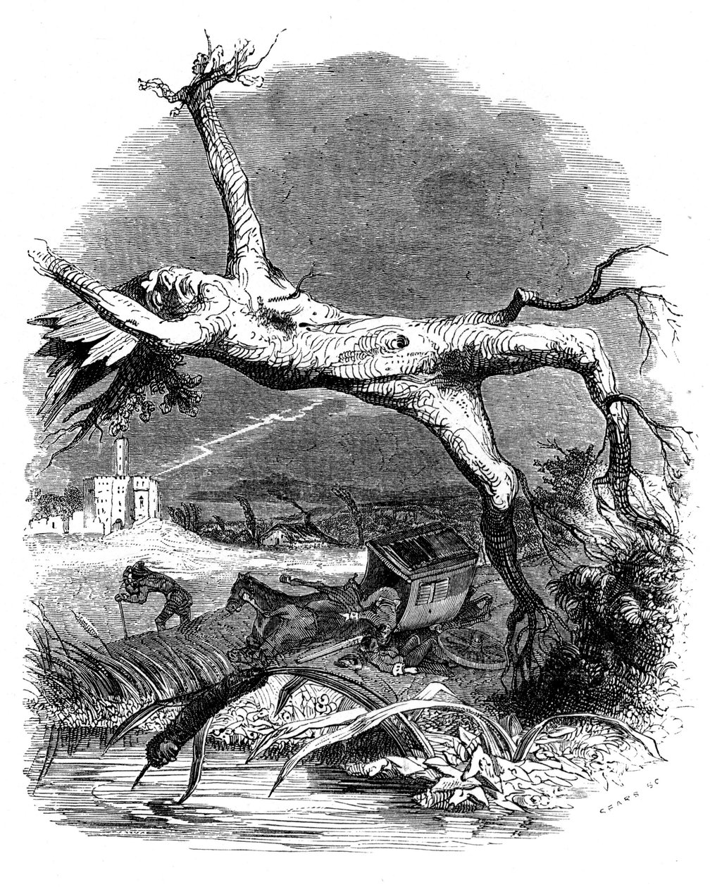 The Oak and the Reed: La Fontaine's Fable