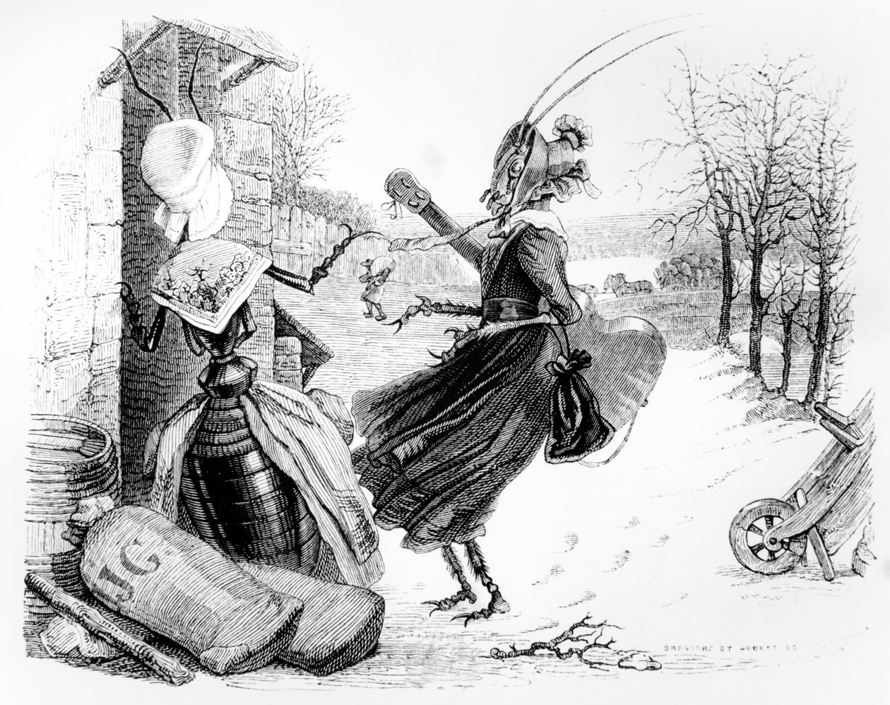 The Cicada and the Ant, Illustration for 